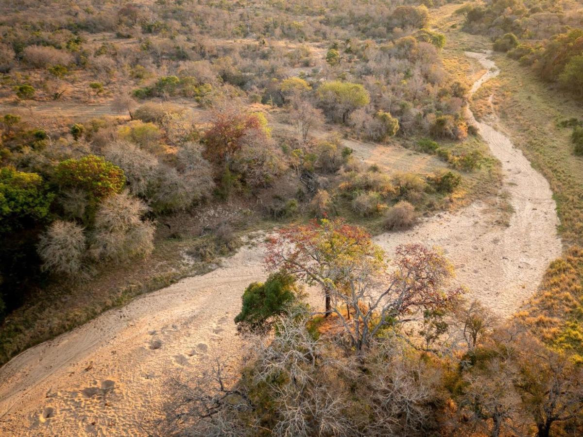 Shimungwe Lodge, Thornybush Game Reserve フッドスプルイト エクステリア 写真